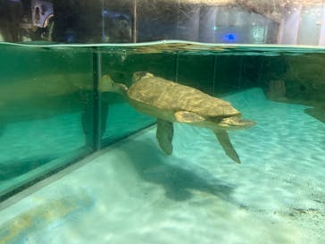 マリンワールド海の中道に投稿された画像（2025/3/23）