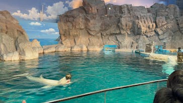 名古屋港水族館に投稿された画像（2025/3/23）