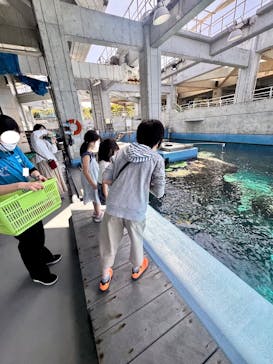 沖縄美ら海水族館（館内体験）に投稿された画像（2025/3/23）