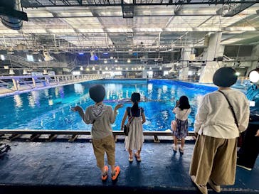 沖縄美ら海水族館（館内体験）に投稿された画像（2025/3/23）