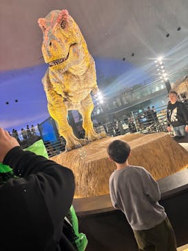 福井県立恐竜博物館に投稿された画像（2025/3/23）