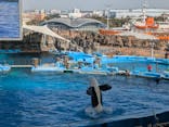 名古屋港水族館に投稿された画像（2025/3/23）