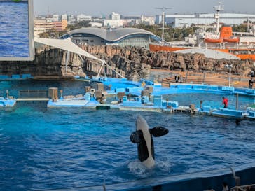 名古屋港水族館に投稿された画像（2025/3/23）
