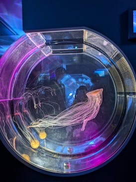 名古屋港水族館に投稿された画像（2025/3/23）