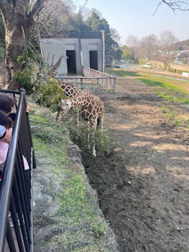 名古屋市東山動植物園に投稿された画像（2025/3/23）