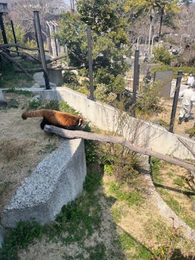名古屋市東山動植物園に投稿された画像（2025/3/23）