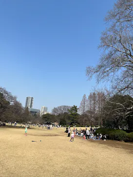 新宿御苑に投稿された画像（2025/3/23）