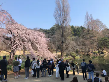 新宿御苑に投稿された画像（2025/3/23）