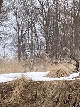 Old Place（オールドプレイス）に投稿された画像（2025/3/23）