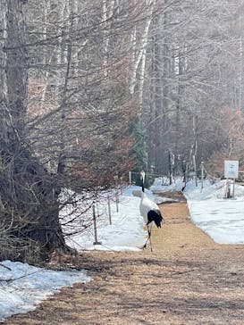 Old Place（オールドプレイス）に投稿された画像（2025/3/23）