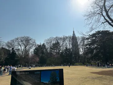 新宿御苑に投稿された画像（2025/3/23）