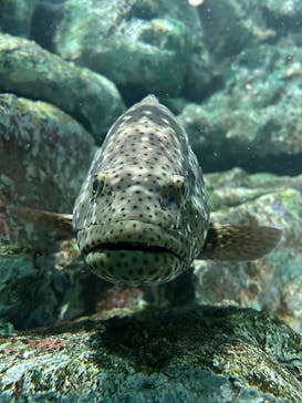 名古屋港水族館に投稿された画像（2025/3/23）