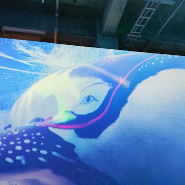 動き出す浮世絵展 TOKYOに投稿された画像（2025/3/23）