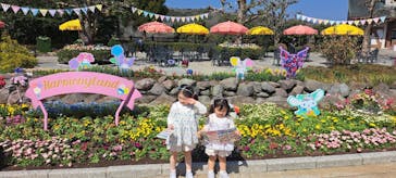 ハーモニーランドに投稿された画像（2025/3/23）