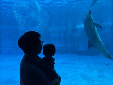 名古屋港水族館に投稿された画像（2025/3/23）