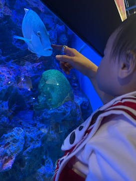 竹島水族館に投稿された画像（2025/3/23）