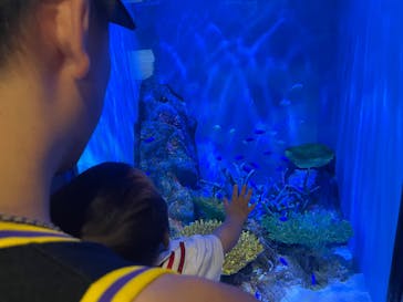 竹島水族館に投稿された画像（2025/3/23）