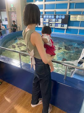 竹島水族館に投稿された画像（2025/3/23）