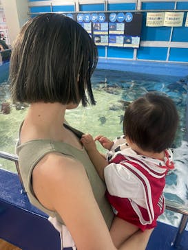 竹島水族館に投稿された画像（2025/3/23）