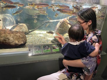 世界淡水魚園水族館　アクア・トトぎふに投稿された画像（2025/3/23）