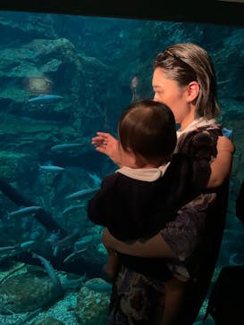 世界淡水魚園水族館　アクア・トトぎふに投稿された画像（2025/3/23）