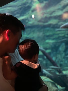 世界淡水魚園水族館　アクア・トトぎふに投稿された画像（2025/3/23）