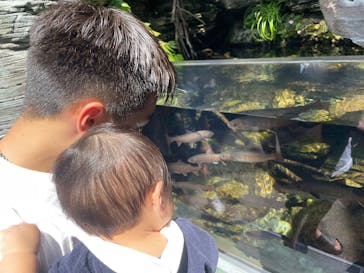 世界淡水魚園水族館　アクア・トトぎふに投稿された画像（2025/3/23）