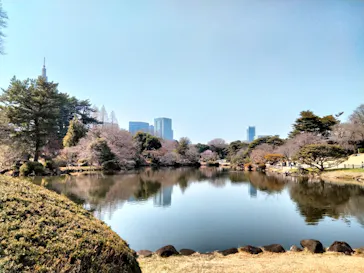 新宿御苑に投稿された画像（2025/3/23）
