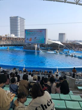 名古屋港水族館に投稿された画像（2025/3/23）