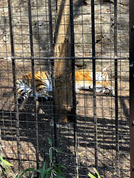 多摩動物公園に投稿された画像（2025/3/23）