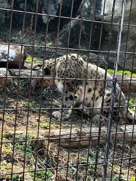多摩動物公園に投稿された画像（2025/3/23）