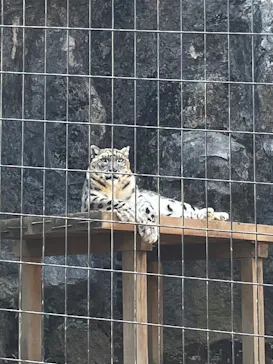 多摩動物公園に投稿された画像（2025/3/23）