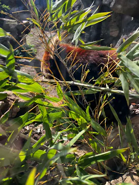 多摩動物公園に投稿された画像（2025/3/23）