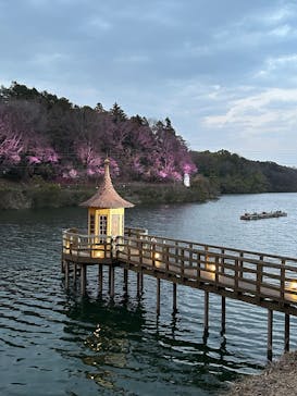 ムーミンバレーパークに投稿された画像（2025/3/23）