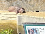 恩賜上野動物園に投稿された画像（2025/3/23）