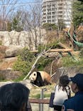 恩賜上野動物園に投稿された画像（2025/3/23）