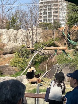 恩賜上野動物園に投稿された画像（2025/3/23）