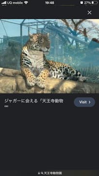 天王寺動物園に投稿された画像（2025/3/23）