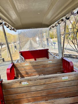 EnglishGardenローザンベリー多和田に投稿された画像（2025/3/23）