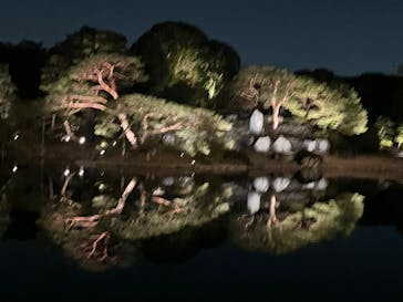 六義園に投稿された画像（2025/3/23）