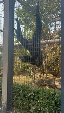 名古屋市東山動植物園に投稿された画像（2025/3/23）