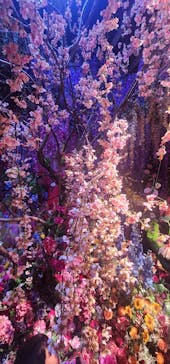 蜷川実花展 with EiM：彼岸の光、此岸の影 NINAGAWA Mika with EiM：Lights of the beyond, Shadows of this worldに投稿された画像（2025/3/23）