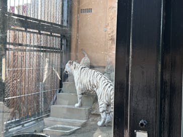 東武動物公園に投稿された画像（2025/3/23）