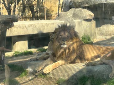東武動物公園に投稿された画像（2025/3/23）