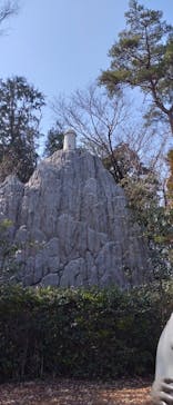 ムーミンバレーパークに投稿された画像（2025/3/23）