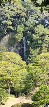 足立美術館に投稿された画像（2025/3/23）