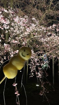 六義園に投稿された画像（2025/3/23）