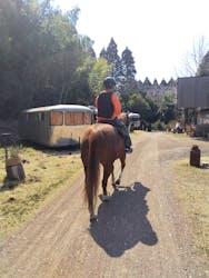 エバーグリーンホースガーデンに投稿された画像（2025/3/23）