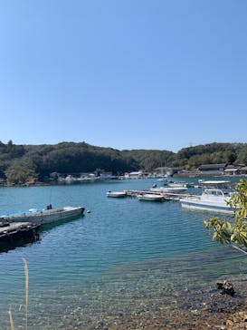 真珠工房 真珠の里に投稿された画像（2025/3/23）