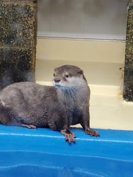 越前松島水族館に投稿された画像（2025/3/23）